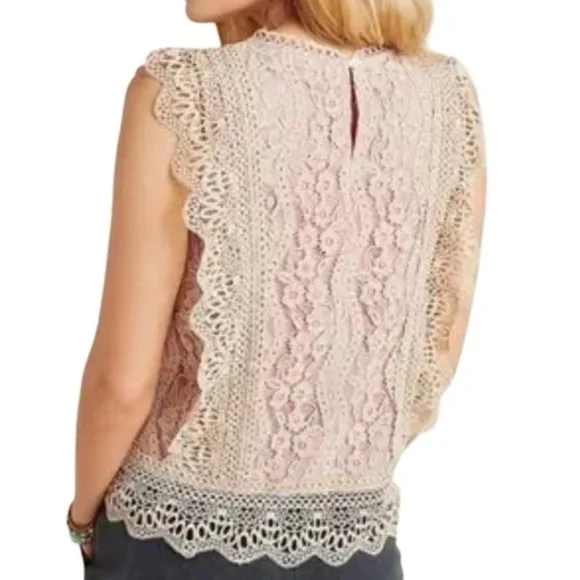 ❤️ NWOT! ANTHROPOLOGIE ERI + ALI SYDNEY LACE BLOUSE / TOP IN BEIGE/PINK, XS - Picture 4 of 12
